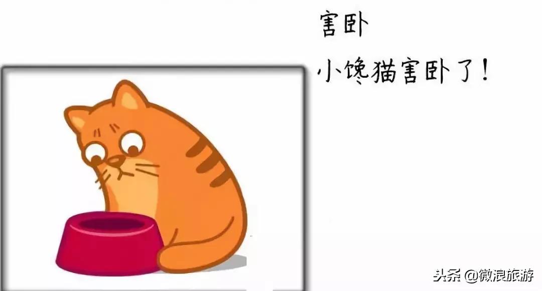 莒州话,莒县话听不懂