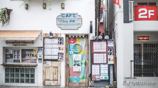 邮轮游选择哪个游轮好,邮轮旅游全攻略公主号