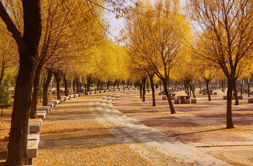 辽宁身份证高清照片,辽宁最牛身份证