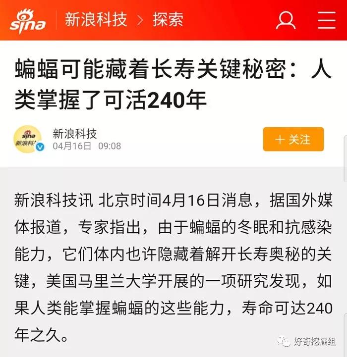 恐怖蝙蝠纪录片,蝙蝠有多可怕小说