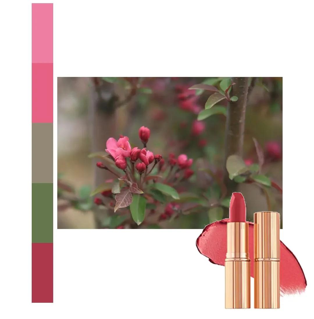 鐩存挱閭兏娌冲寳宸ョ▼澶у,娌冲寳宸ョ▼澶у缇庡