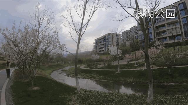 富阳银湖泰禾野风大城小院,富阳银湖大城小院叠墅