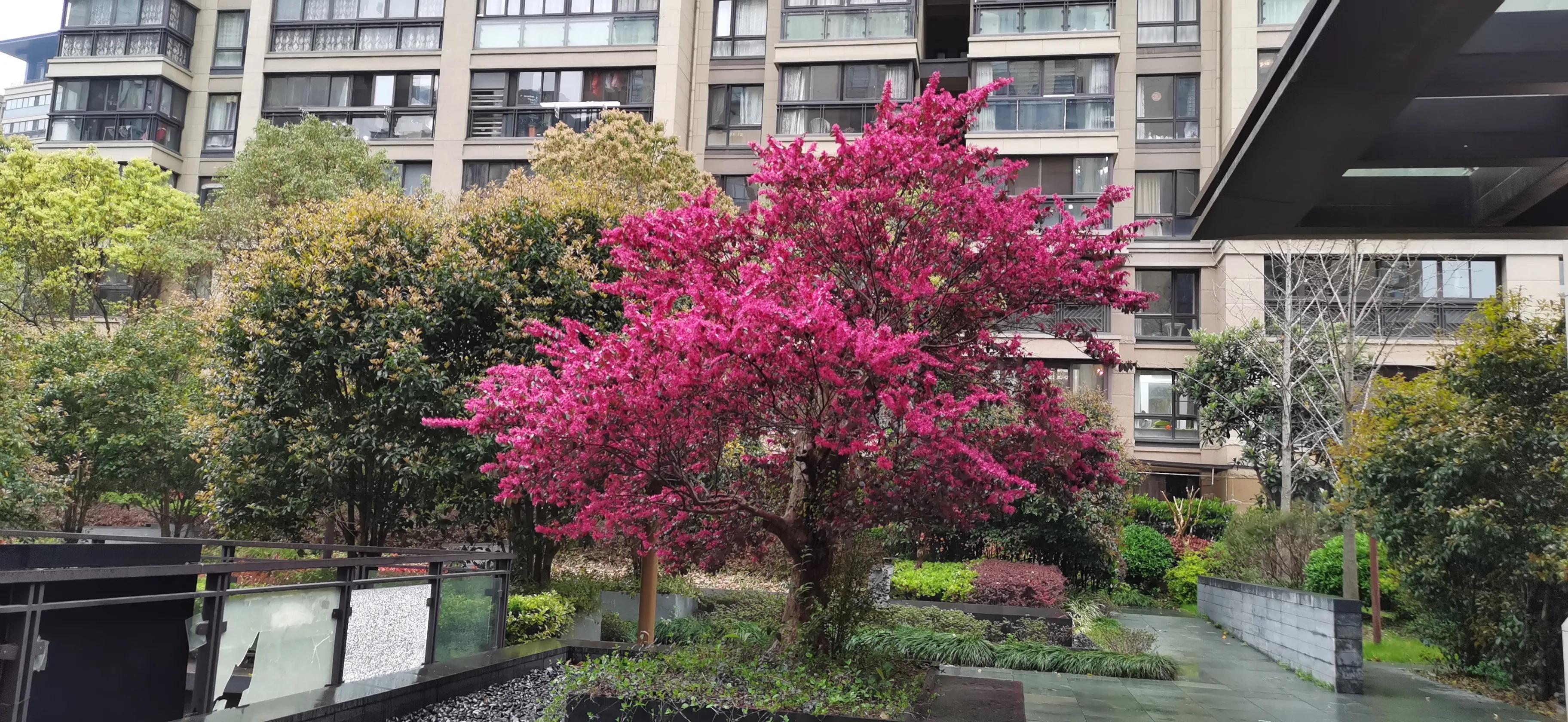 见证上海松江大学城地铁站周边的十年变迁