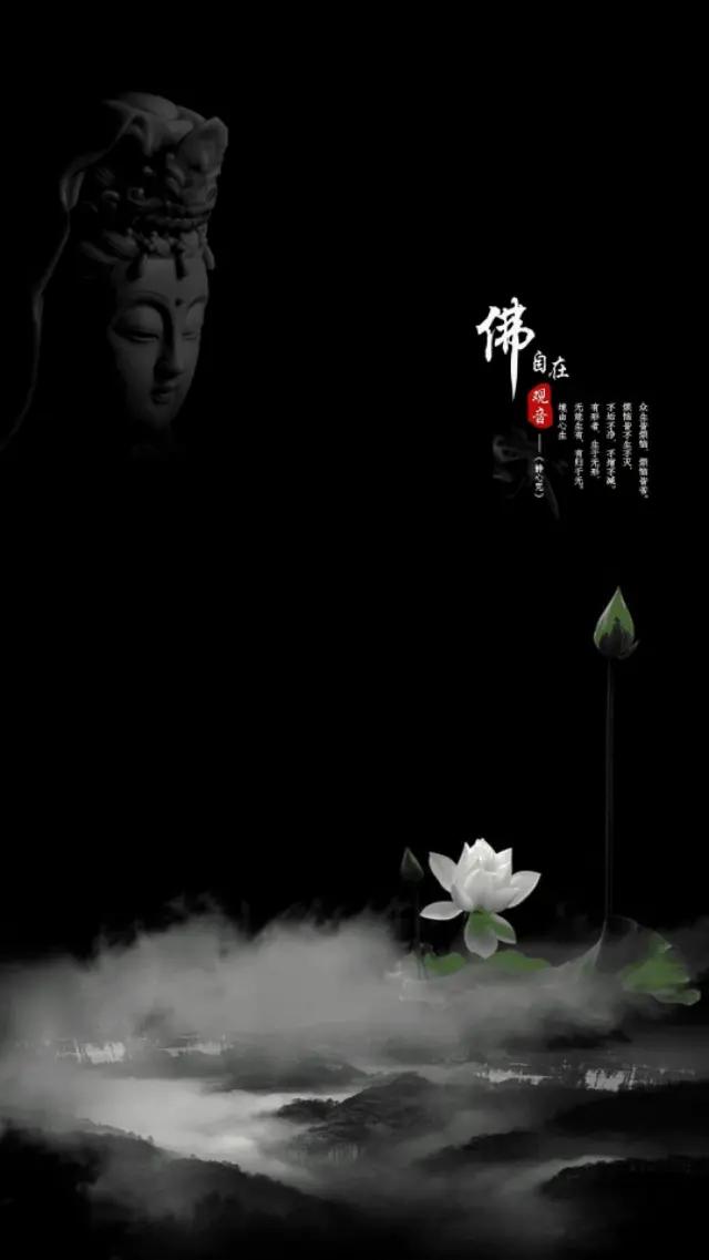 手机壁纸一花一世界一叶一菩提,一叶一菩提壁纸