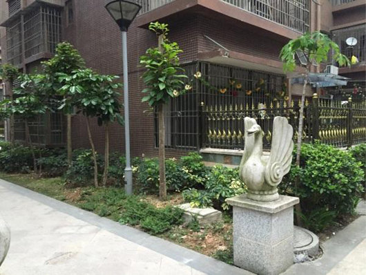 一楼房子的优点和缺点是什么,一楼的房子有哪些缺点