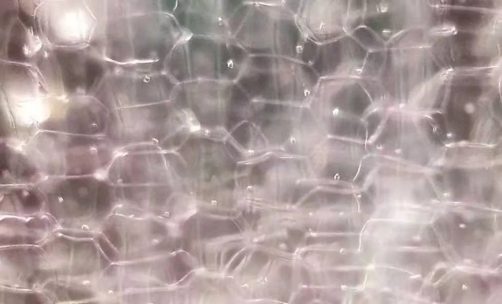 手持式显微镜放大100倍能看清什么,电子数码手机显微镜