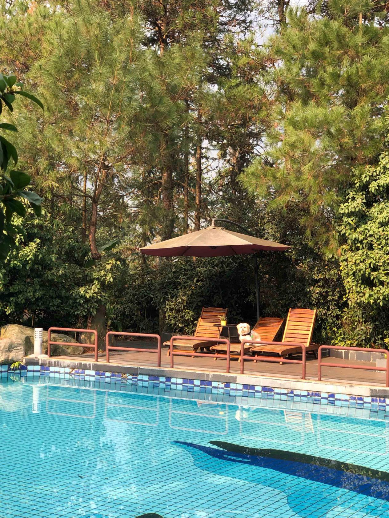 防入坑指南,防坑指南100例图解