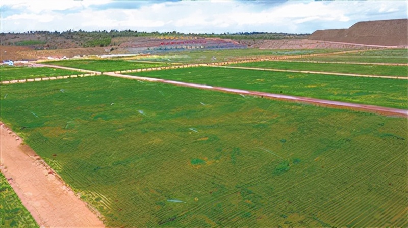 绘制绿色基底 汇能煤电集团有限公司跑出绿色发展“加速度”