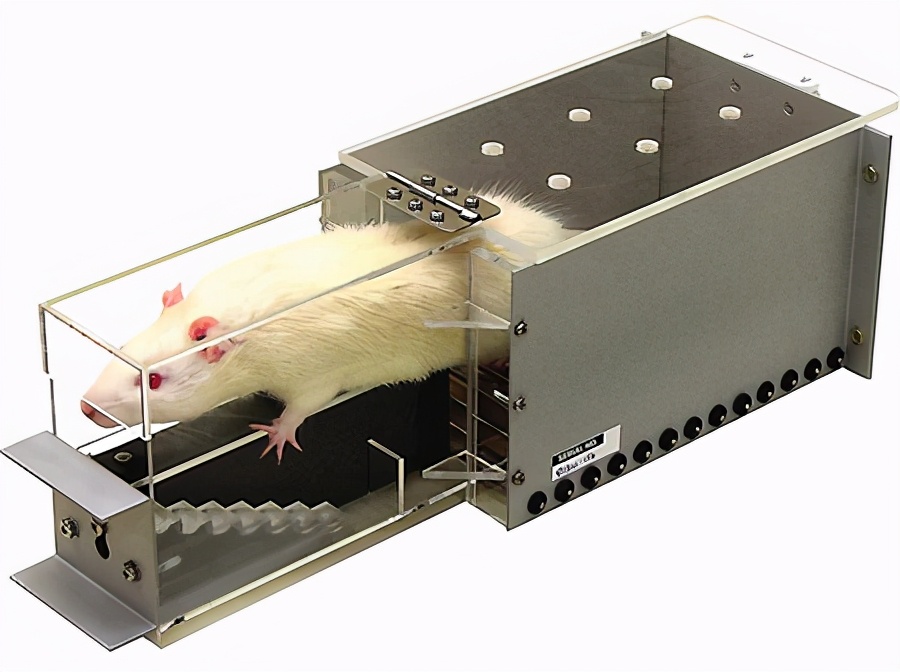 脑梗塞后遗症三年了还可以治愈吗,脑梗塞后遗症能彻底治愈吗