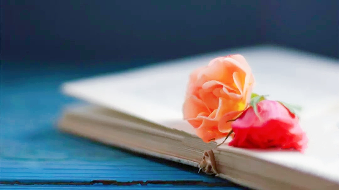 中考英语连词常考题,中考英语名词易混易错点