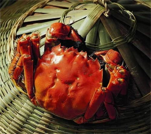 大闸蟹蒸多久好吃,大闸蟹怎么样蒸最好吃