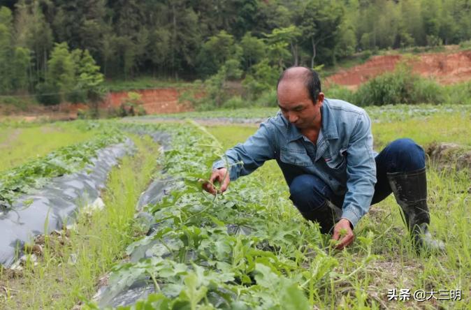 侨乡大地绽新颜——明溪县脱贫攻坚工作侧记