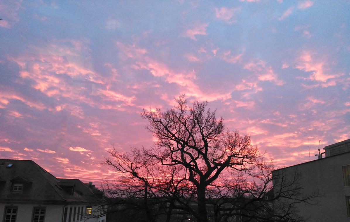 函授属于成人自考还是在职教育,成人自学考试和函授学历哪个好