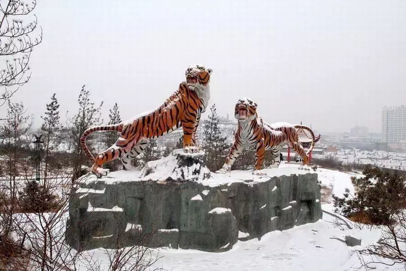 机票价格优惠哪里值得旅游,机票优惠国内旅游推荐什么