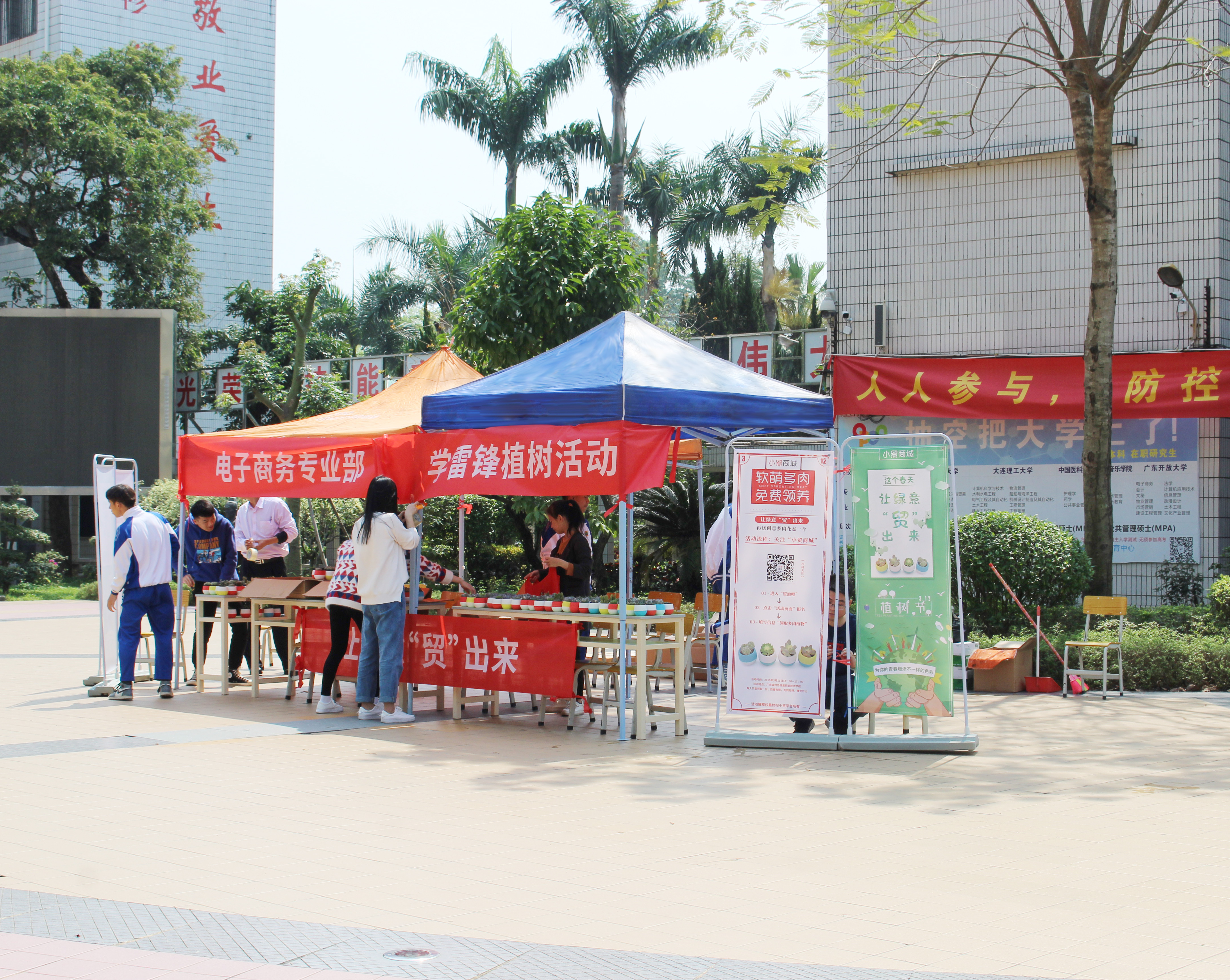 植树节，小贸商城让绿意“贸”出来