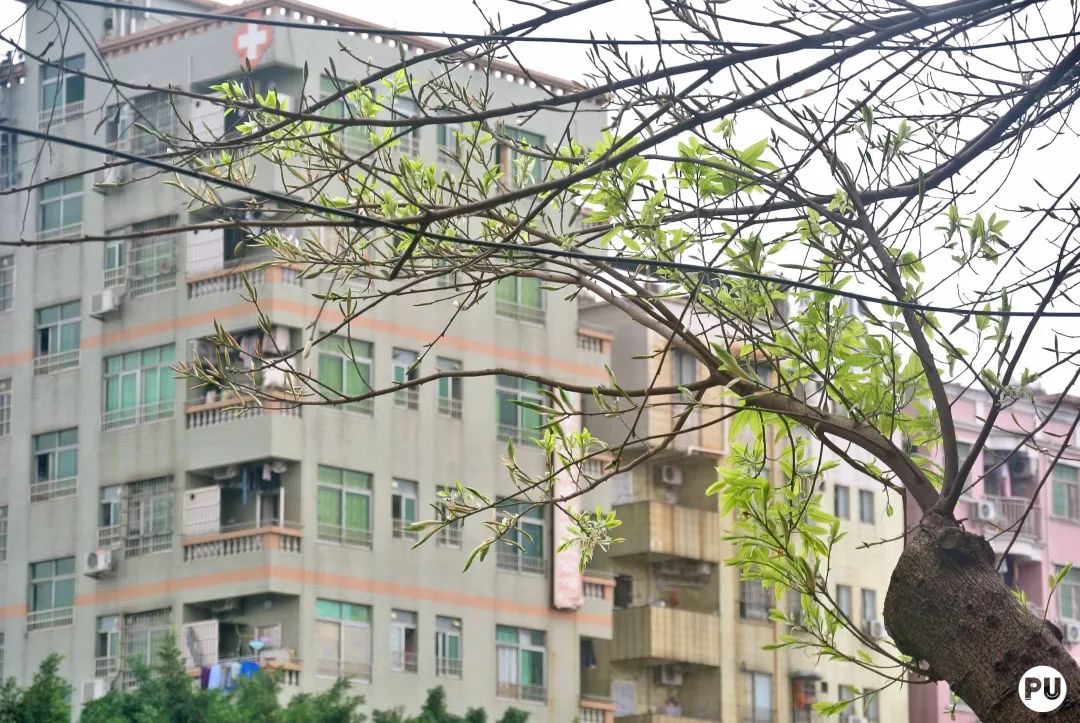 广州车陂,下一站车陂南站