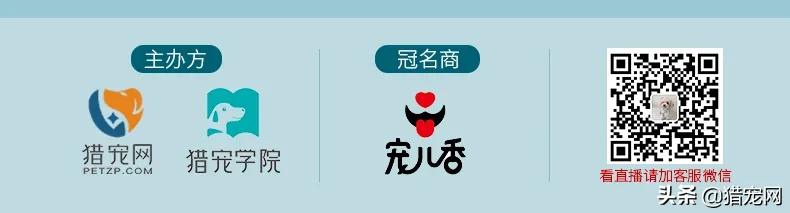 宠物营养膏是不是智商税,宠物营养膏配方和制作方法