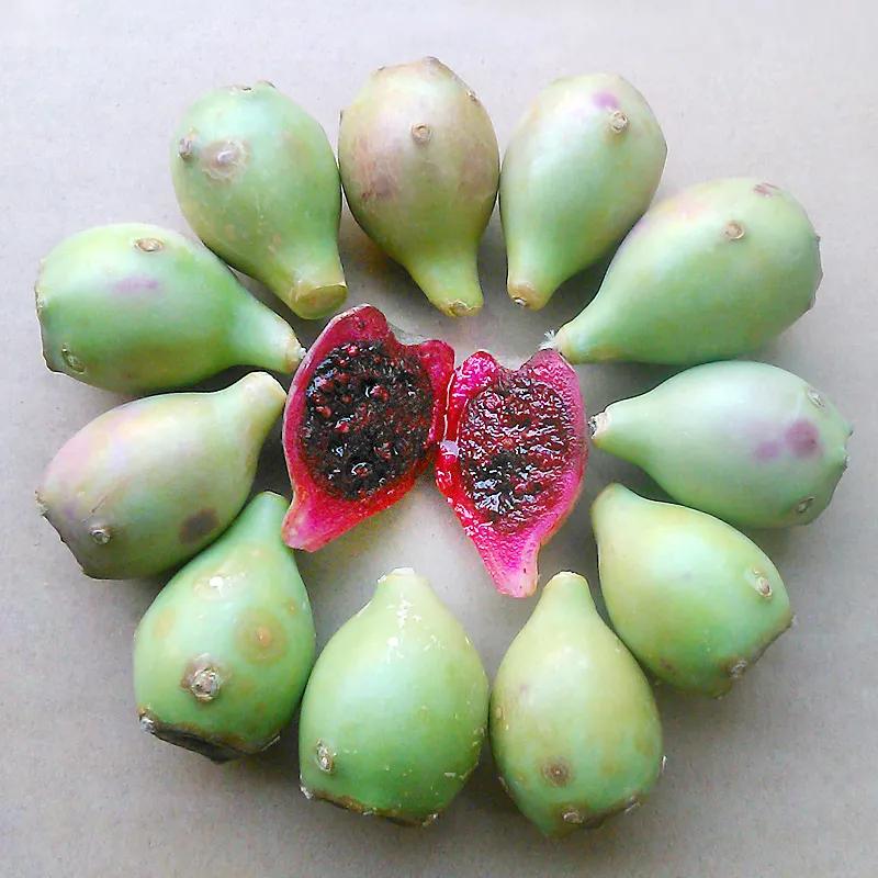 热带水果王国攀枝花,攀枝花一年四季有哪些水果