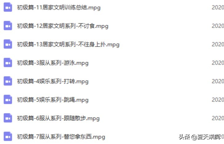 训狗教程视频训犬神器,训犬一点通训狗教程视频