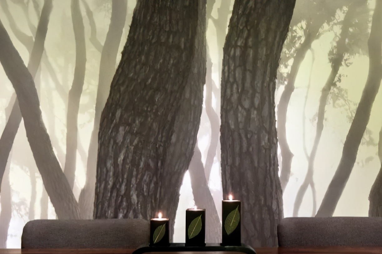 韩国欧尼皮肤状态,韩国欧尼限定皮肤