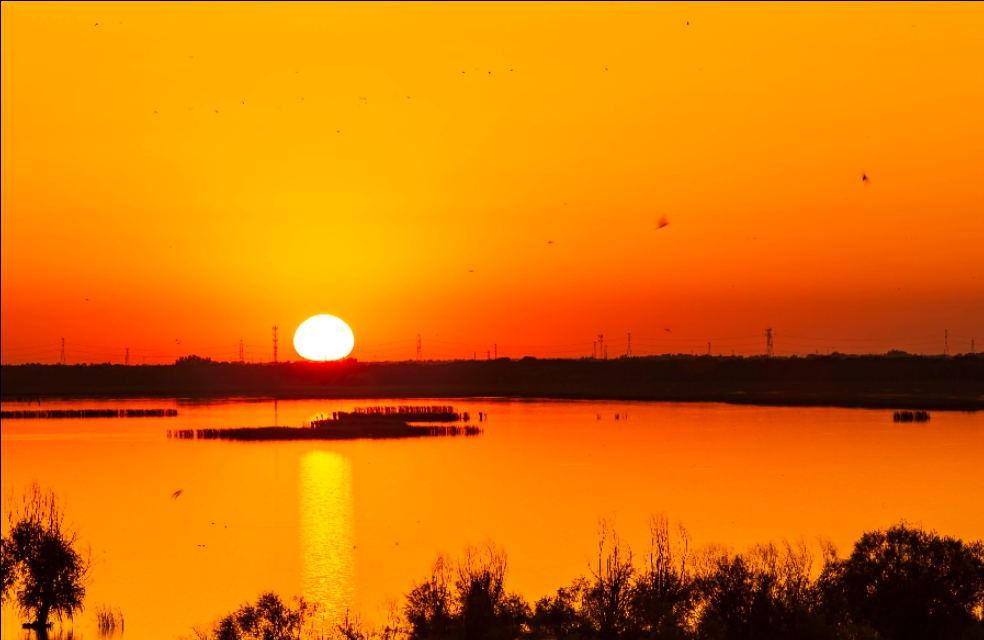 衡水湖有多美丽,七月衡水湖