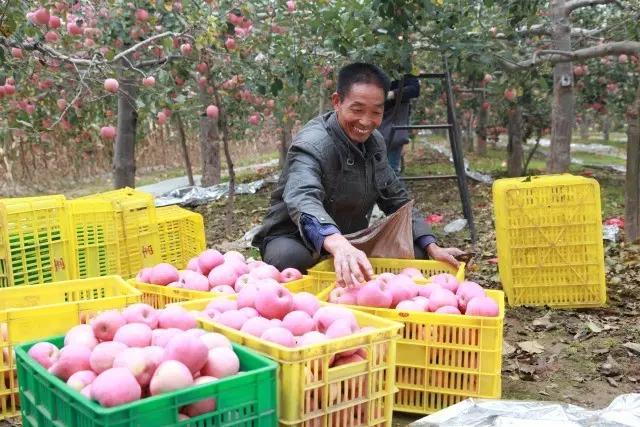 我在长武刚刚好,何必羡慕北上广