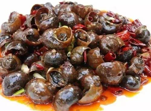 炒田螺要不要先“焯水”？很多人弄错了，难怪田螺腥味重不嫩不鲜