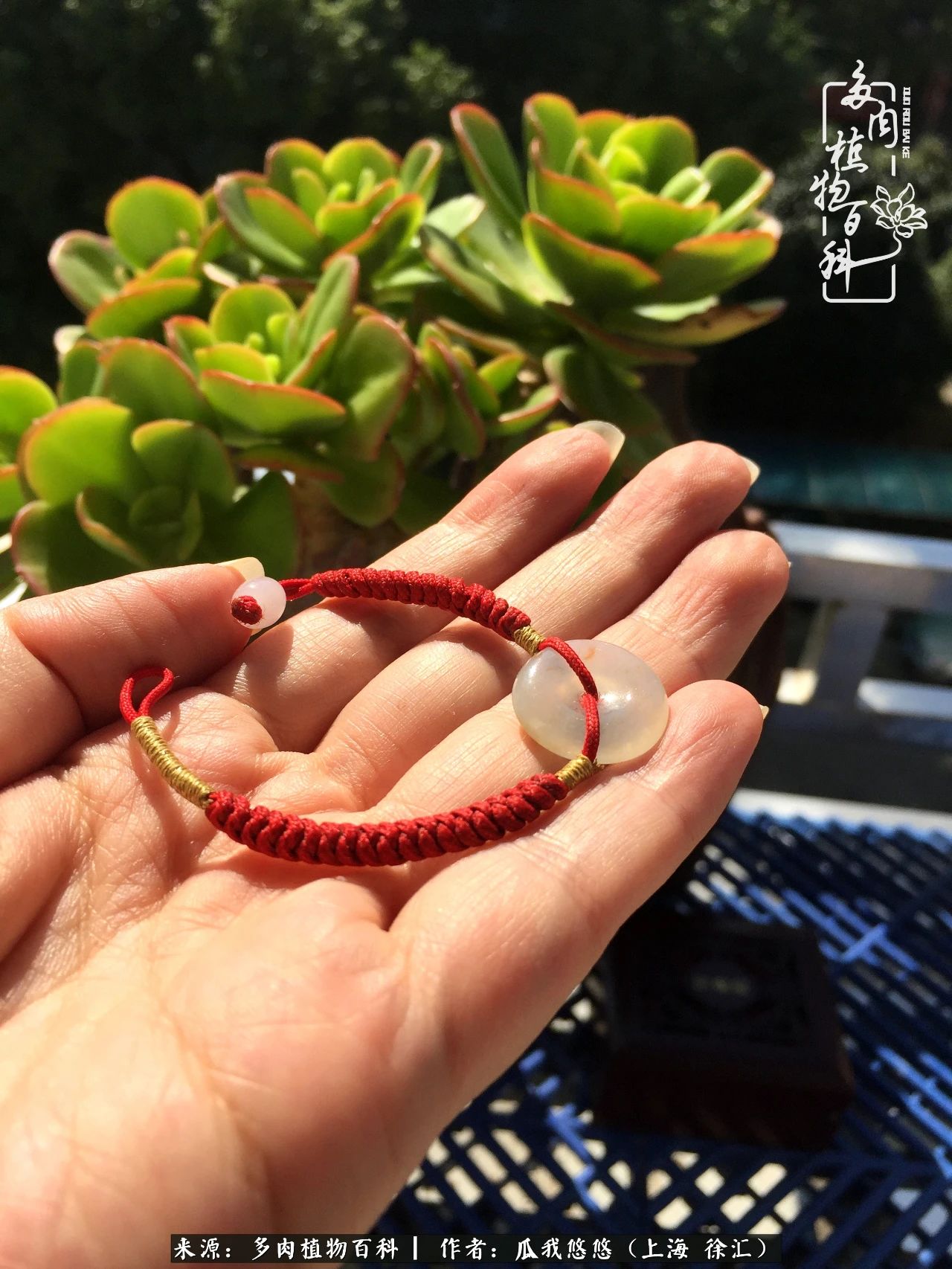 享受岁月,享受岁月静好歌曲原唱