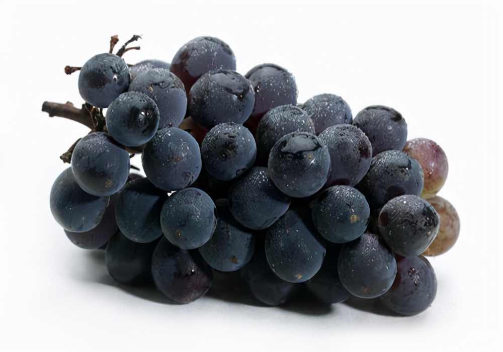 狗狗肠胃炎呕吐后便血,狗狗食欲不振还呕吐便血拉稀