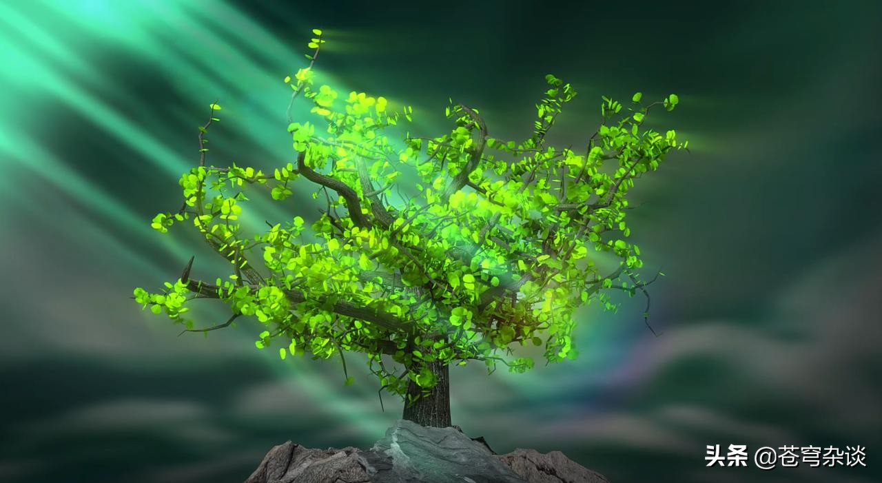 中医奇闻阴阳人,关于中医的奇闻趣事