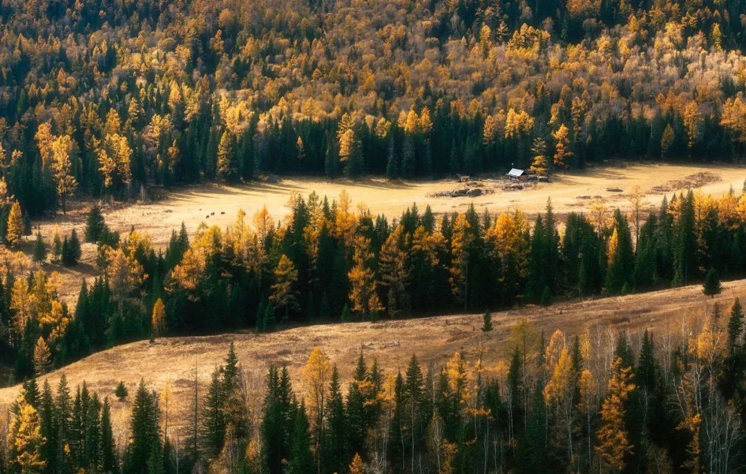 国庆八天怎么玩不遗憾,国庆七天能玩多少个小时