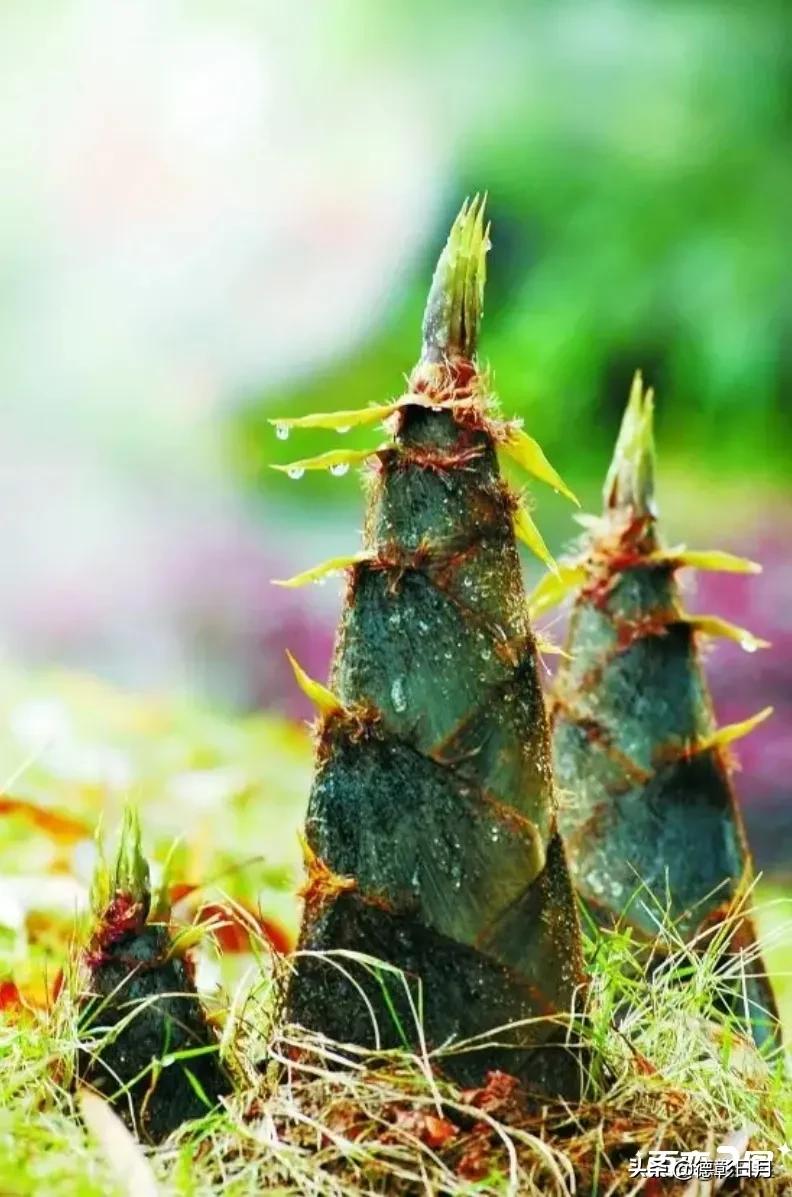 浅议辅助费,浅议成本管理