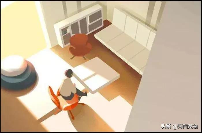 养宠物的哪个瞬间让你最崩溃,养宠物的24个扎心日常