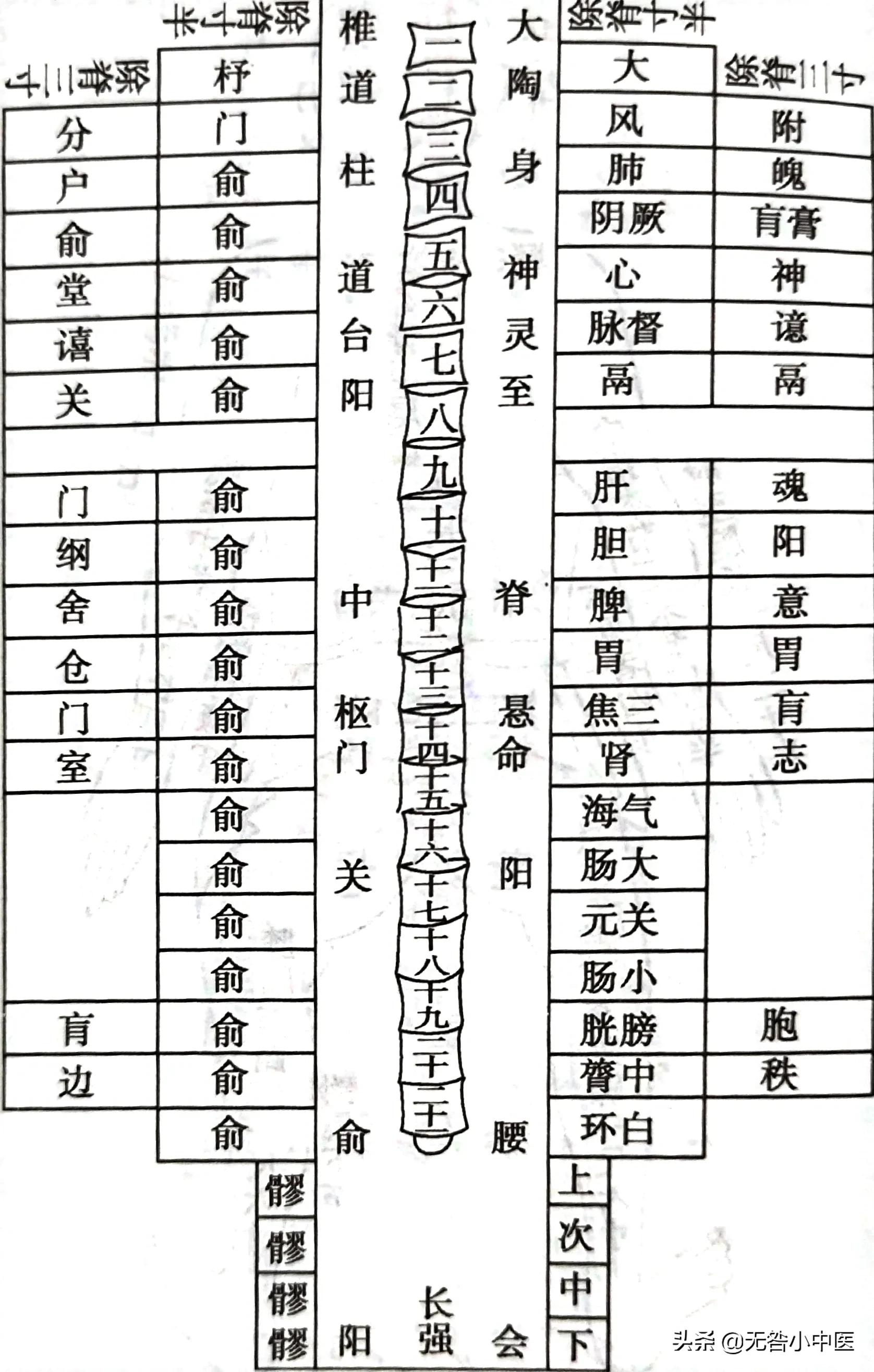 「针灸」7.脊中（督脉）