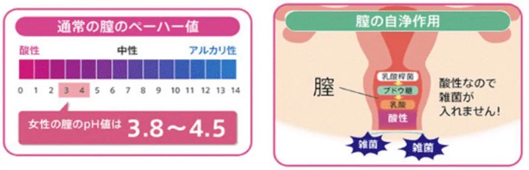 香港九价是不是水货,香港九价正规吗