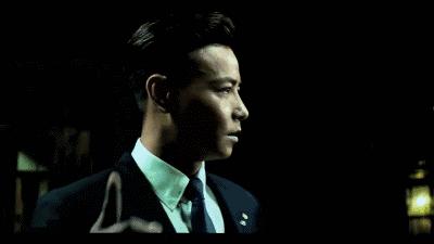 香江美人传奇李嘉欣,香江美人传奇洪欣