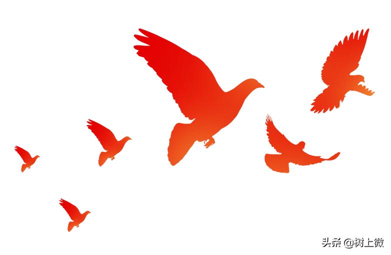 历史教学研究论文,历史教学方法创新论文