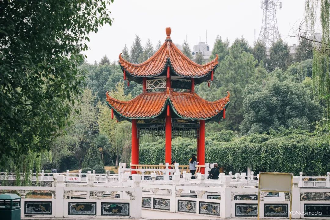 浠庢姹夋斁鍋囧洖瀹剁殑瀛︾敓,浠庢姹夊洖鏉ョ殑澶у鐢熶滑