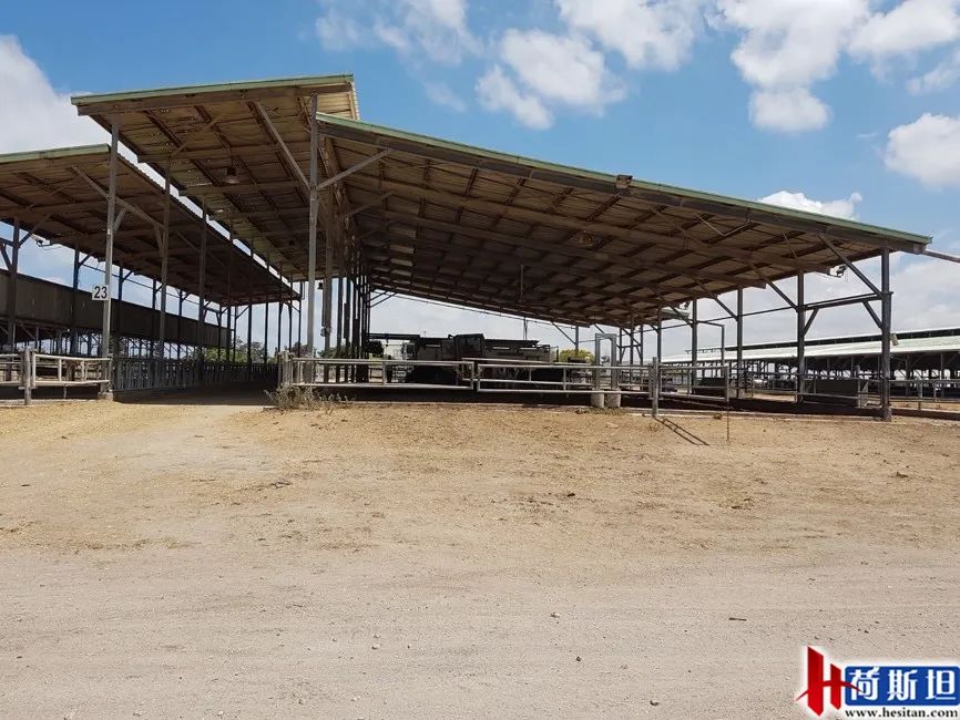 以色列实战经验：热应激管理4大关键点夏季疾病防控