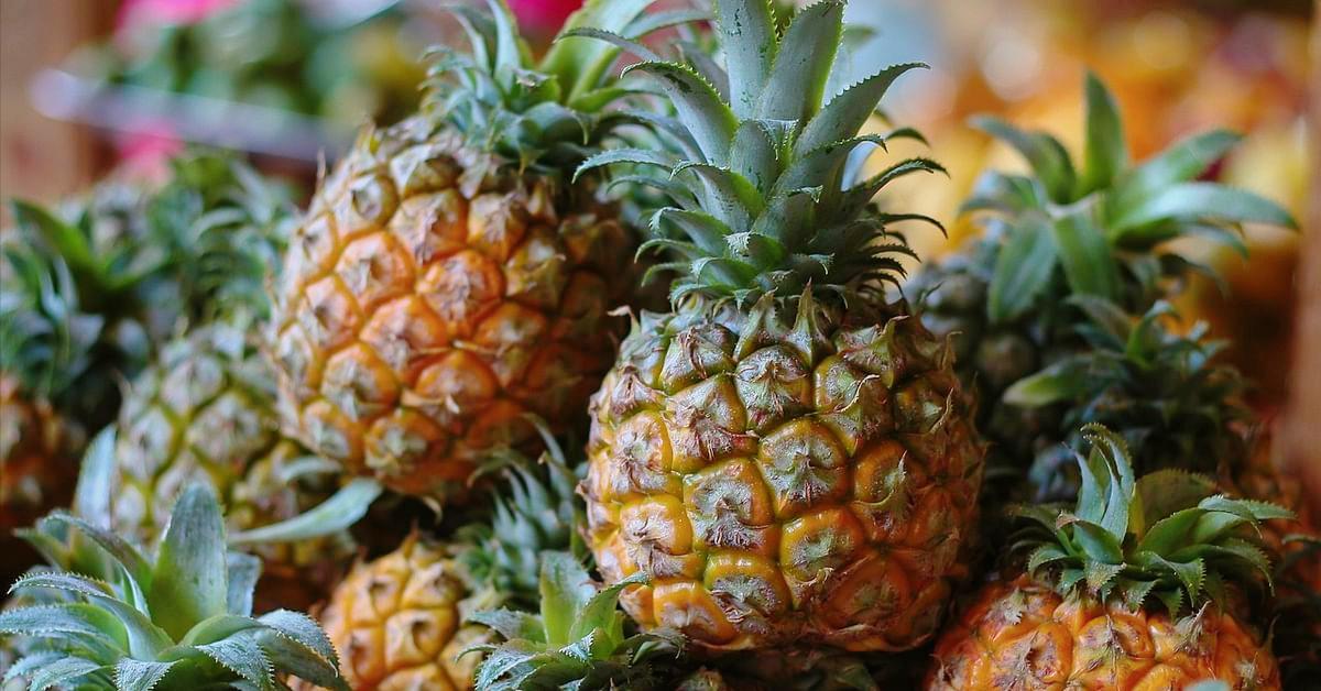 口感最好的凤梨菠萝,菠萝有哪些好吃的