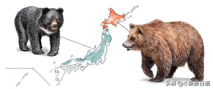 日本人为什么爱吃板栗,日本人为什么爱吃鱼