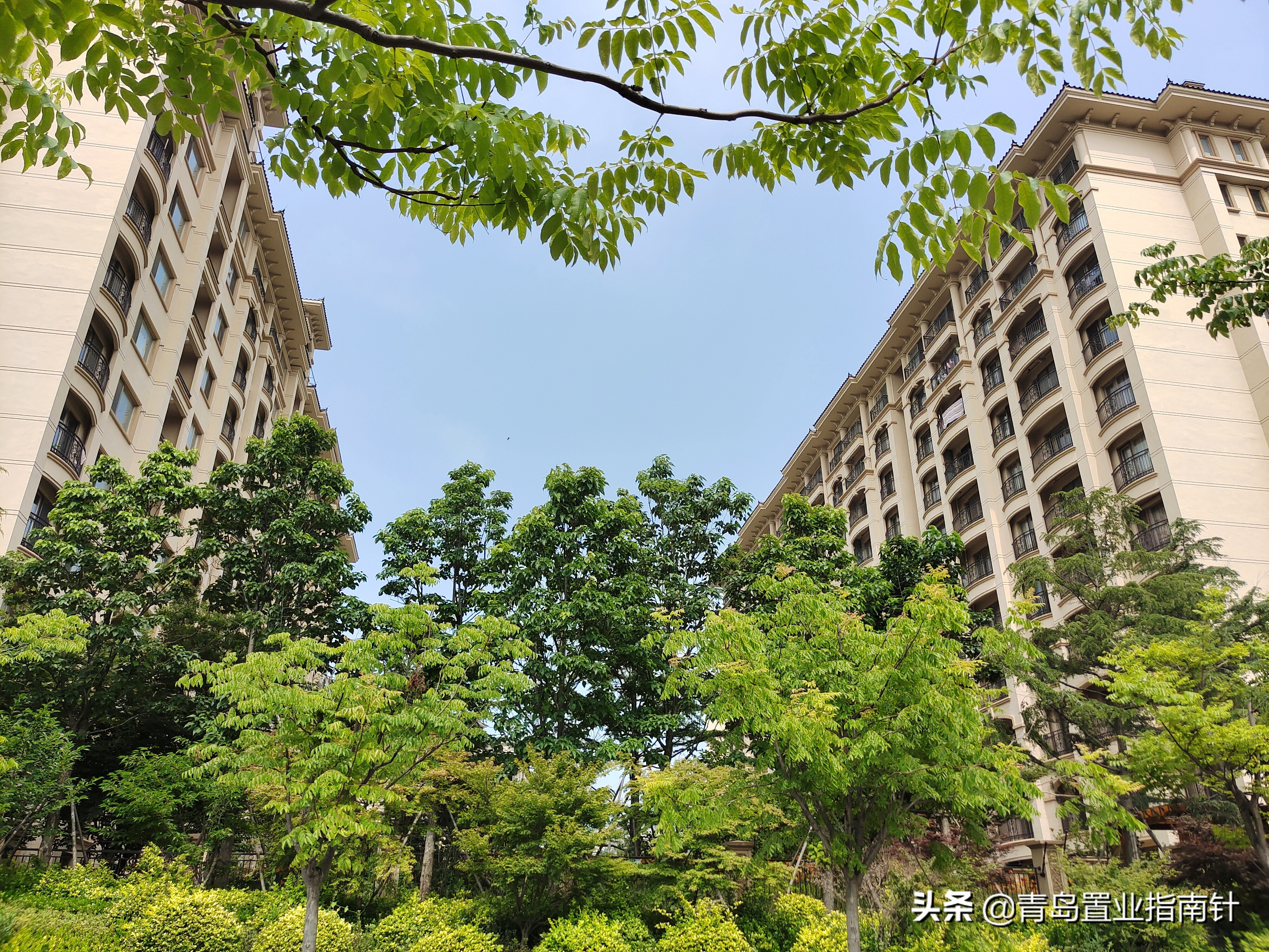 未来青岛蓝谷的发展,青岛蓝谷西海岸哪里房价高
