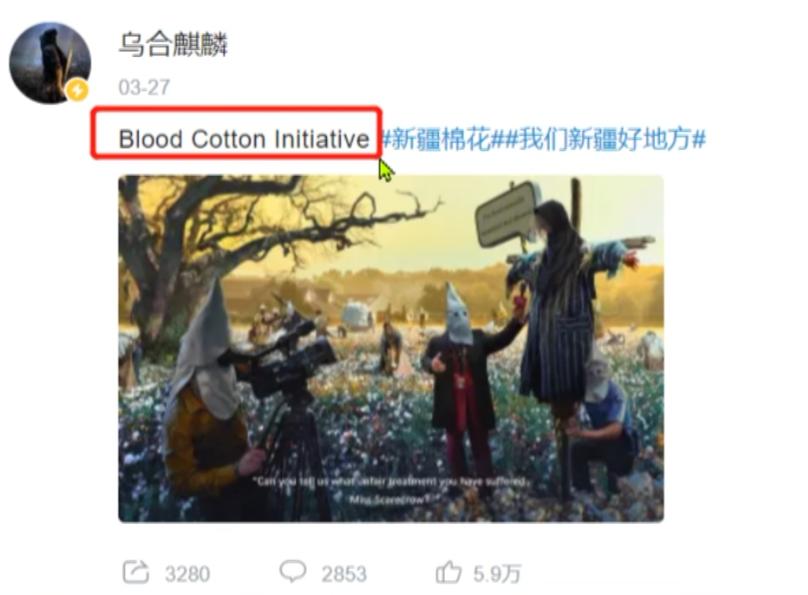 乌合麒麟发布新作血棉行动,乌合麒麟怒揭血棉真相