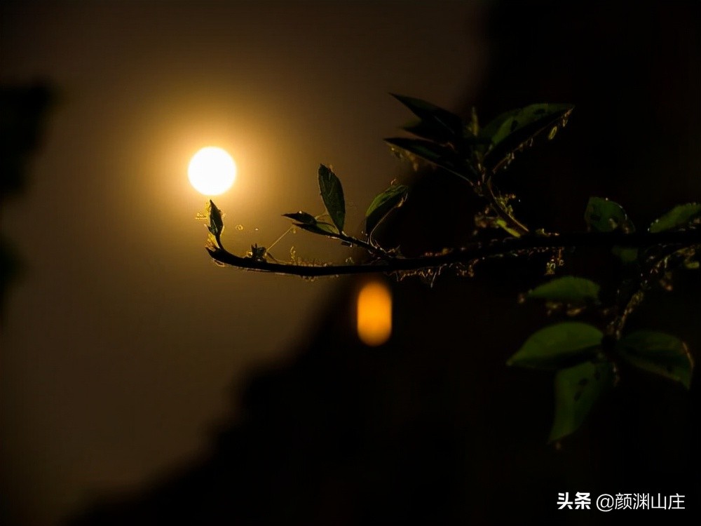 飞花令含月的诗句100句带作者,飞花令带月字的诗句300首