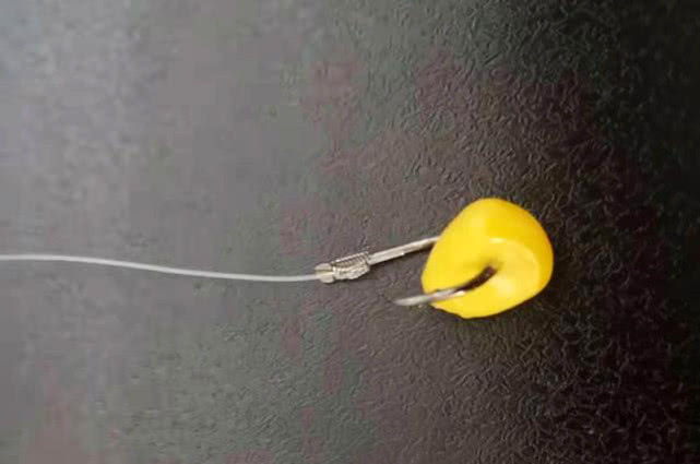 鱼为什么喜欢吃麦子,鱼为什么喜欢吃虾饵