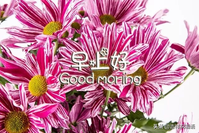 亲爱的早上好祝福送给优秀的人,早上好微信短语祝福朋友健康平安