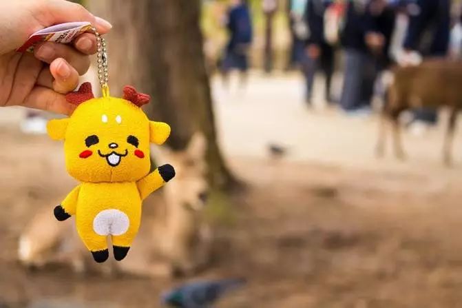 为了一群鹿而去一座城!日本奈良如何从“穷乡下”逆袭...