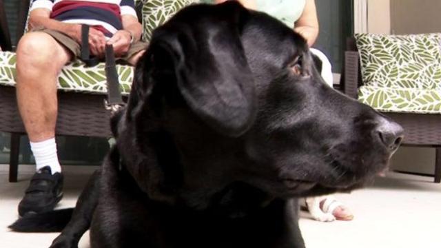 年迈父母心里的秘密被揭晓的那一刻，我终于释然了