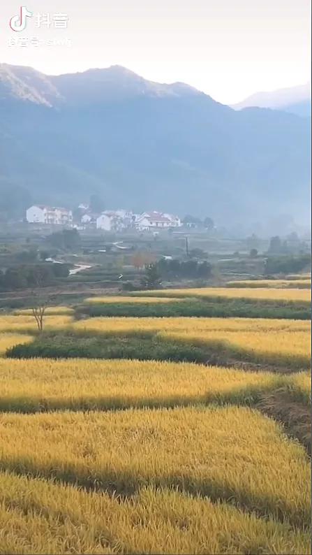 没有丁真,多少人知道理塘?丨地球知识局