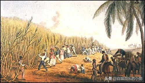 巴西足球给巴西带来了什么,巴西除了足球的历史还有什么历史